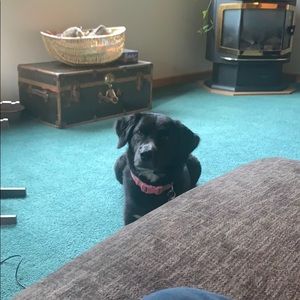 Meet your Posher, Jade